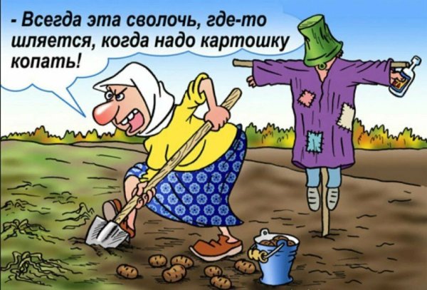 Приколы про лето