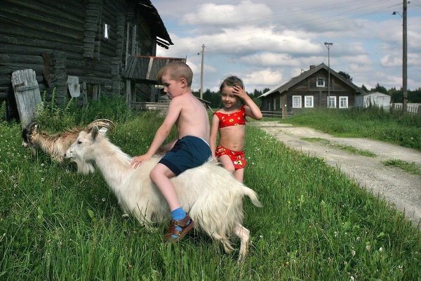 Жизнь в деревне