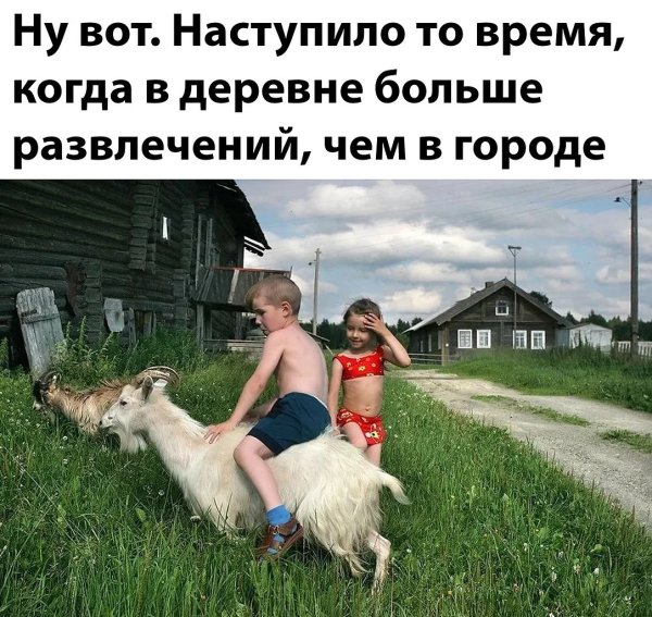 Высказывания про деревню