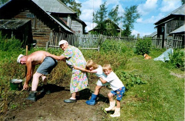 Смешное лето в деревне