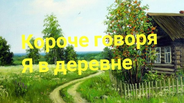 Кошка и собака в деревне