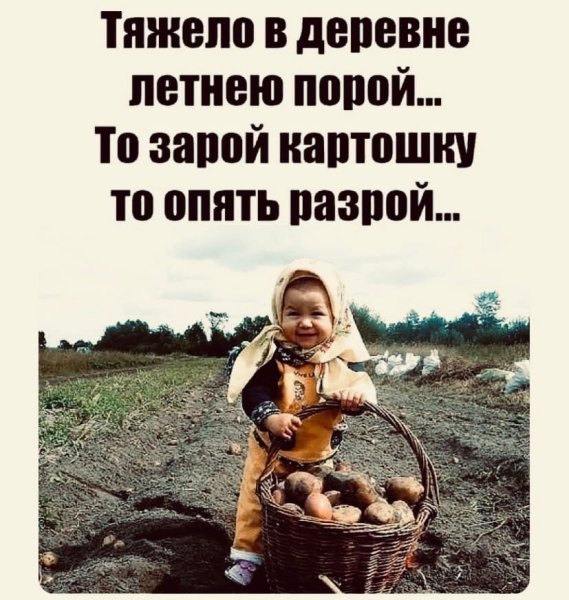 Бабушка в огороде