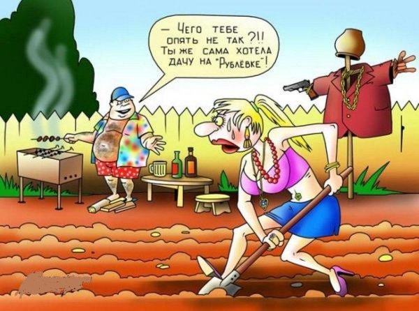 Шутки про огород