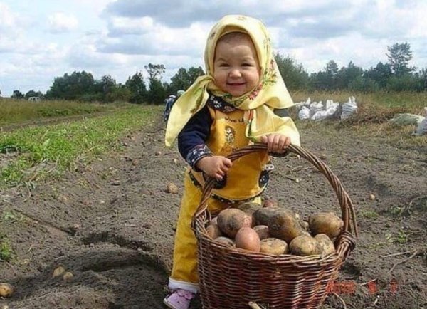 Деревенские дети на улице смешные