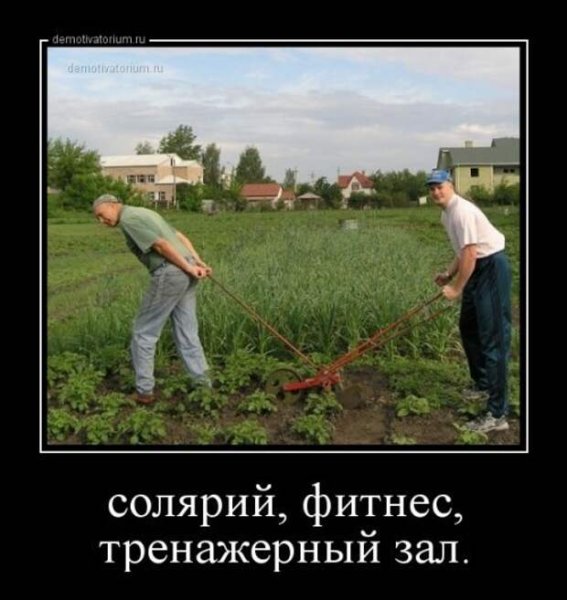 Утро в огороде