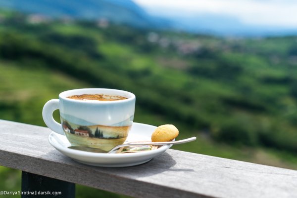 Утренний кофе в лесу