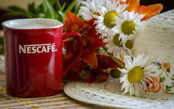 Утро лето кофе цветы