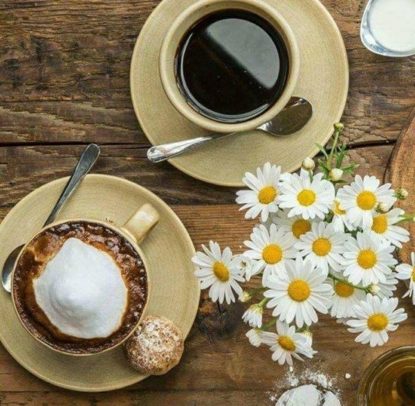 Ромашки и кофе
