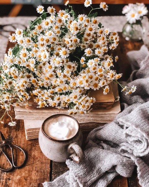 Чашка кофе и ромашки