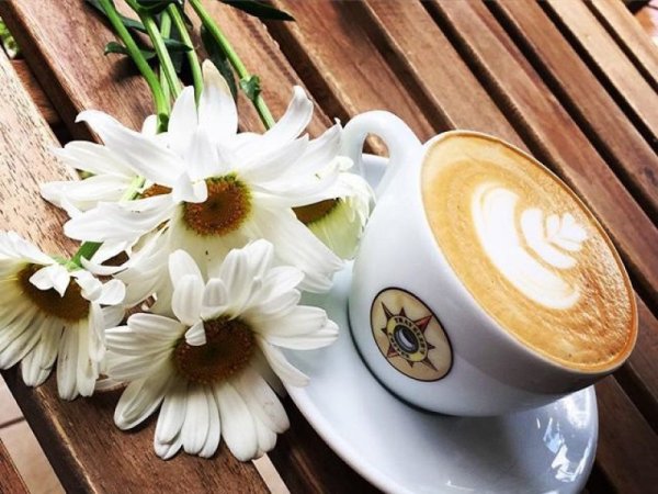 Ромашки и кофе