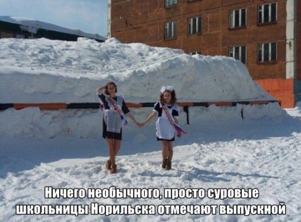 Зимние приколы