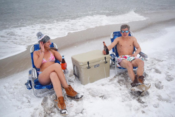 Прикольный белый медведь