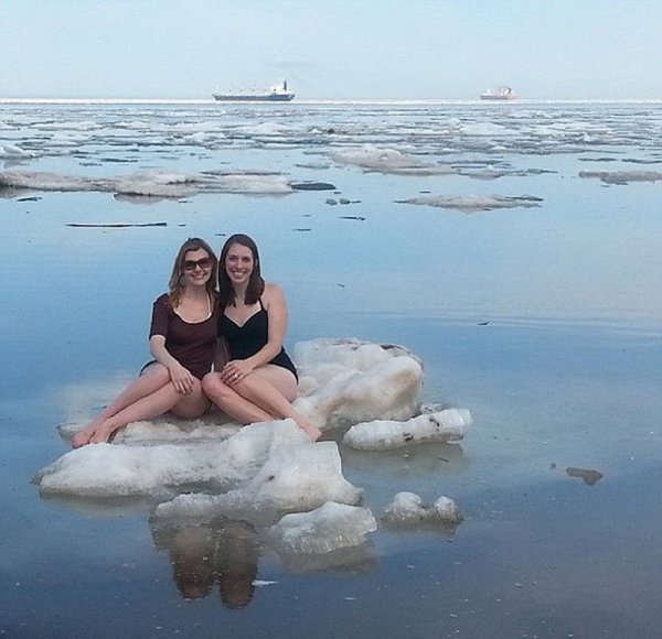 Мишка с севера