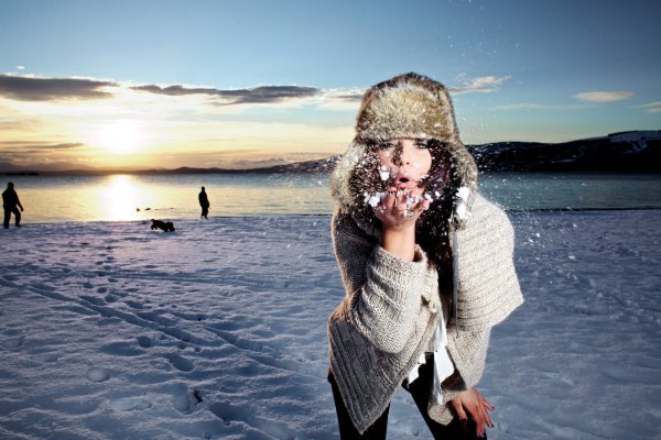 Ледокол Красин медведи