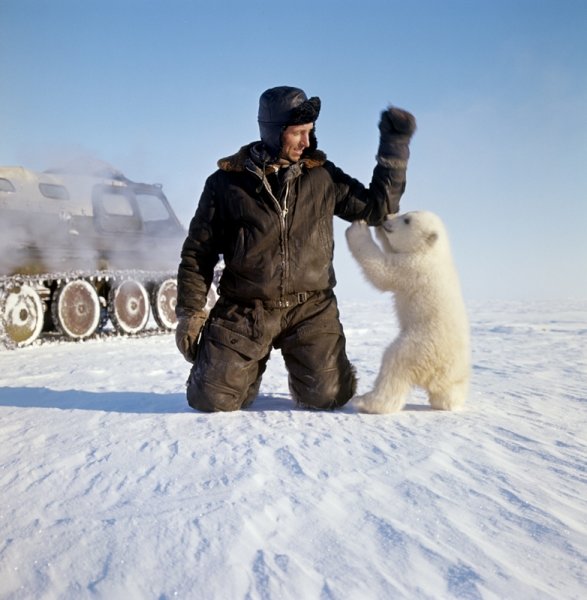 Карикатуры на пляже