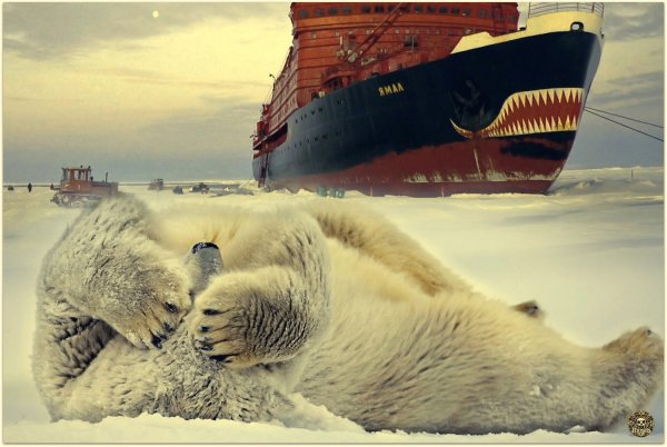 Демотиваторы про лето