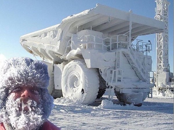 Белый медведь в прыжке