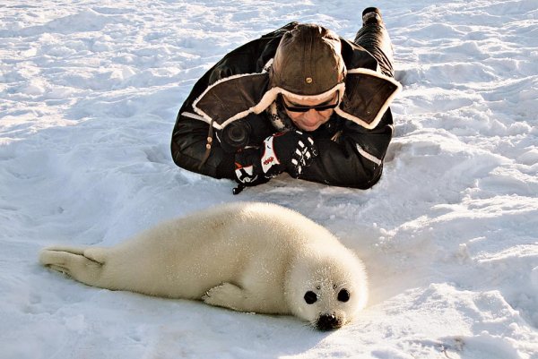 Аномальный холод