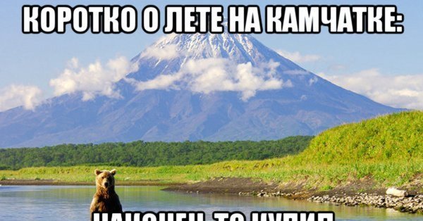 Арктическая пустыня заповедник остров Врангеля