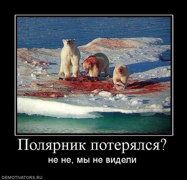 Животные в отпуске