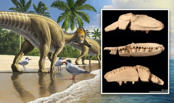 Гадрозавр Дакота