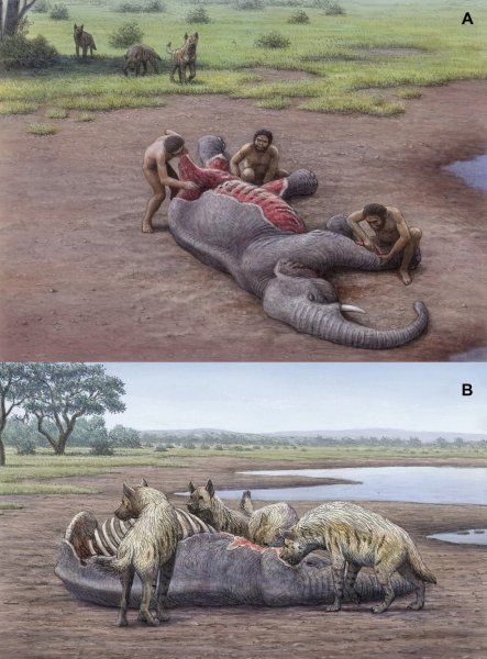 Pachycrocuta brevirostris