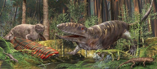 Каменноугольный период животные