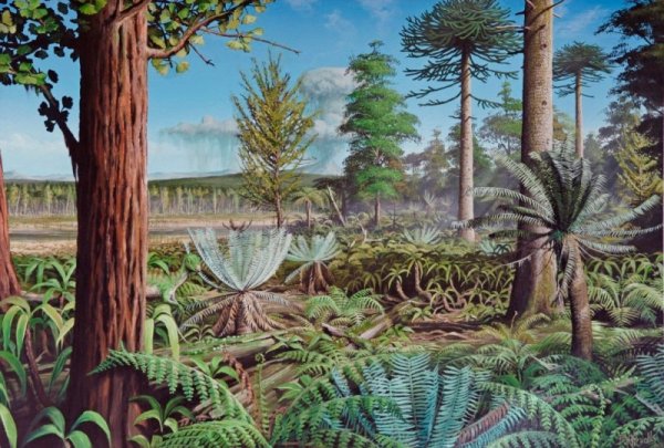 Мезозойская Эра Юрский период растения