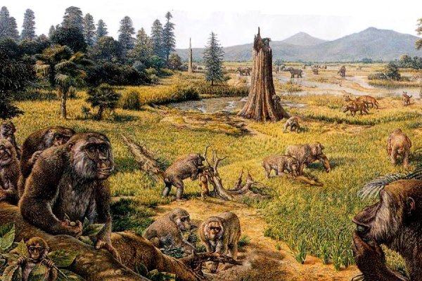 Кайнозойская Эра палеоген