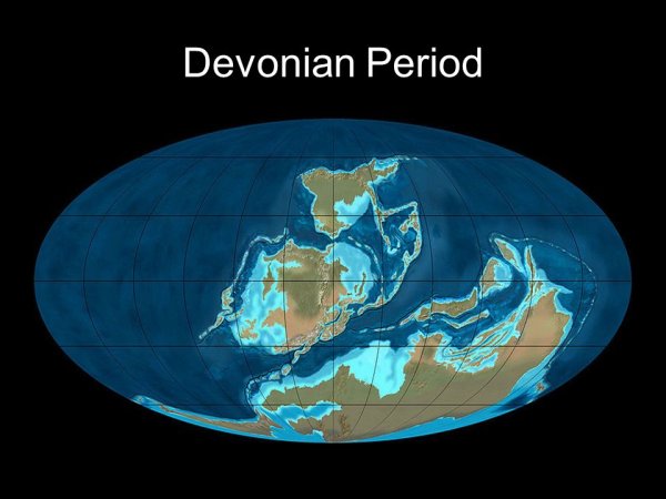 Неоген австралопитеки