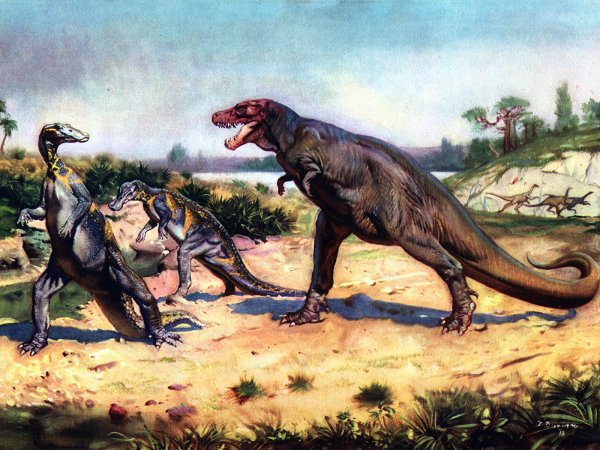 Australopithecus Afarensis (австралопитек афарский)