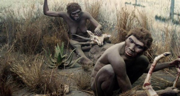 Хомо сапиенс неандерталец кроманьонец