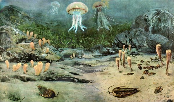 Девонский период палеозойской эры