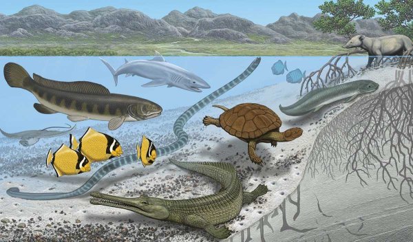 Доисторические крокодилы