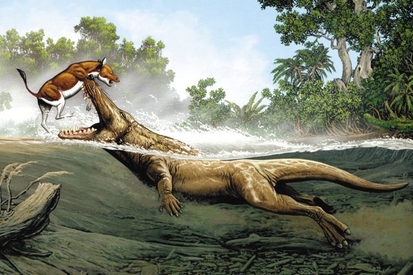 Падение метеорита вымирание динозавров