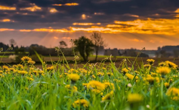 Солнечный пейзаж
