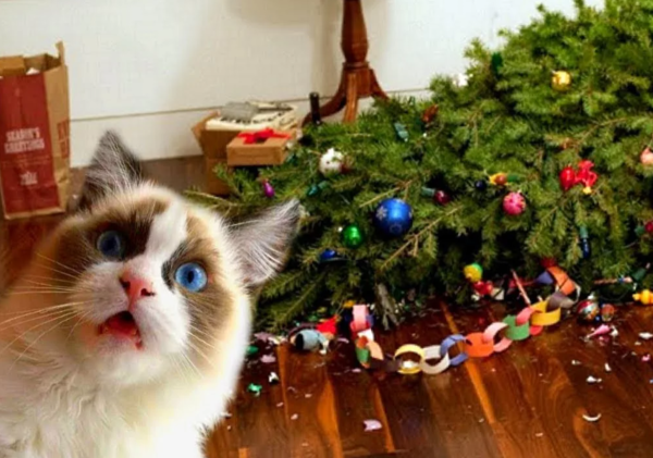 Кот уронил елку