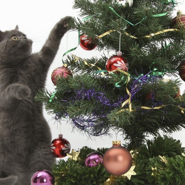 Новый год елка