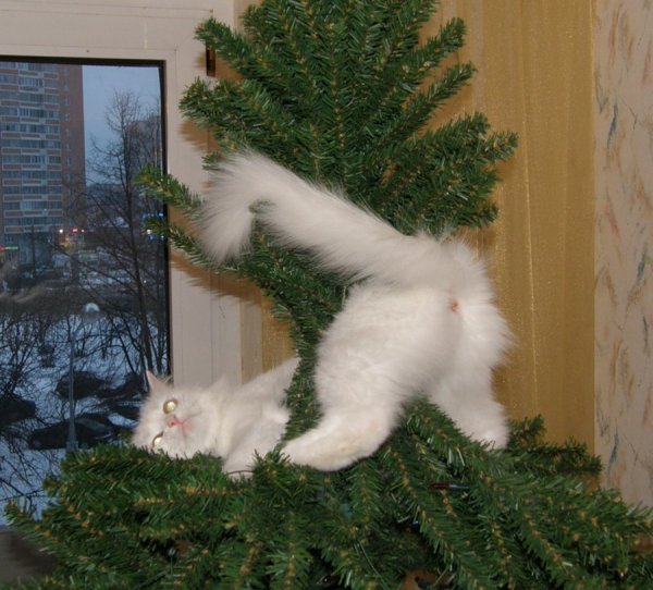 Наряжаем елку юмор