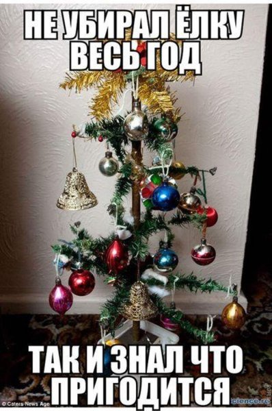 Новогодняя елка юмор