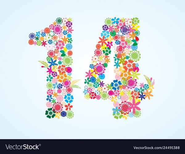Цифра 14 из цветов
