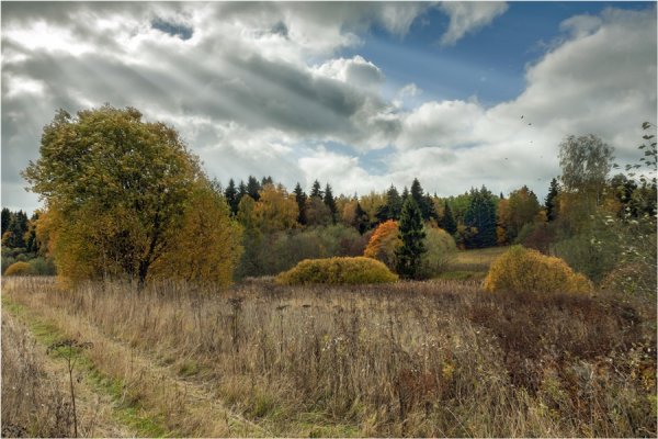 Фото уходящего лета