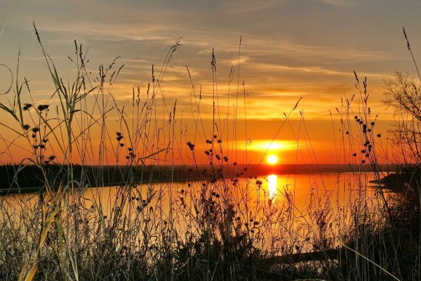 Лето уходит в закат