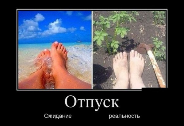 Отпуск демотиватор