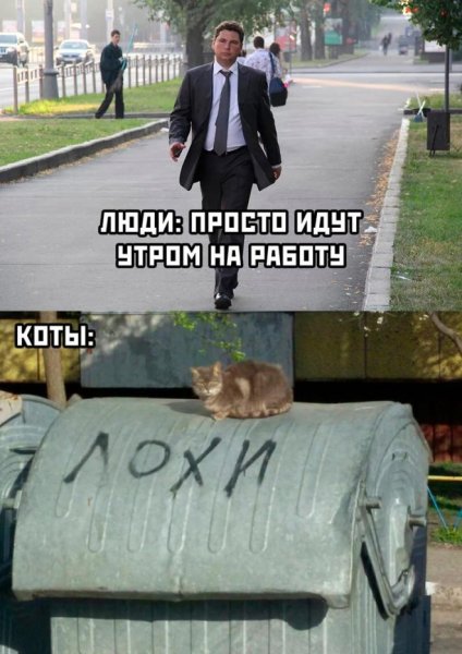 Пойти в поход