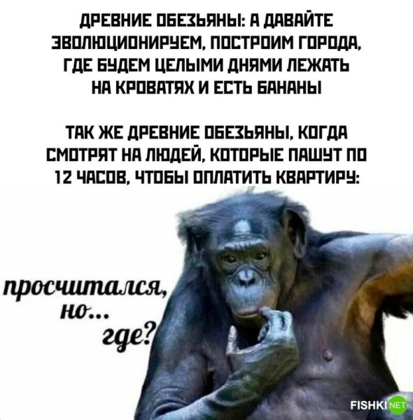 Открытки с холодным летом