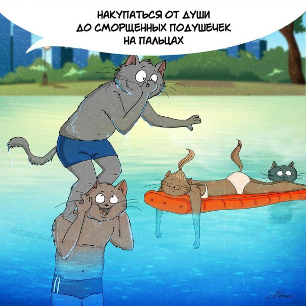 Открытки Холодное лето