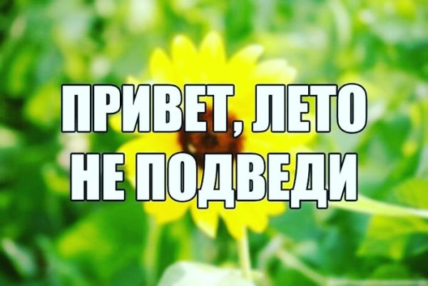 Лето закончилось