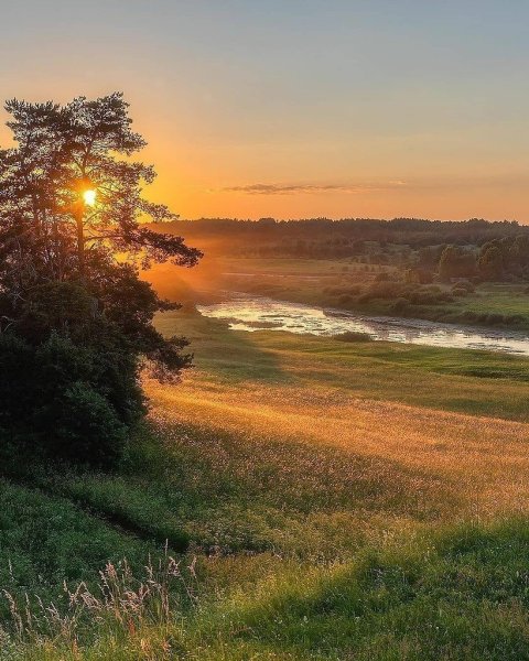 Рассвет летом