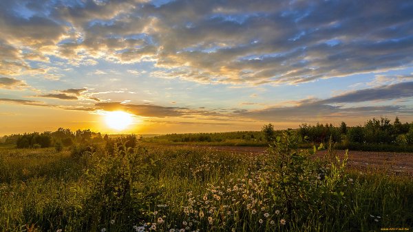 Красивый рассвет